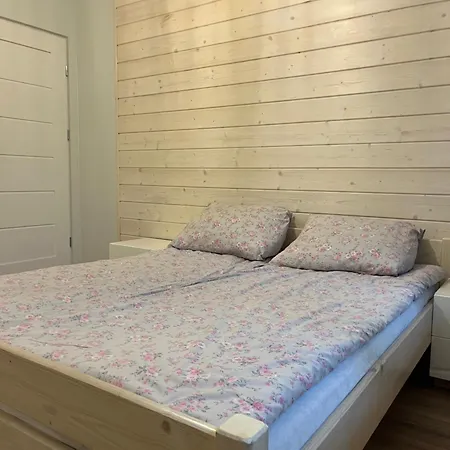 Dwunastka 招待所 扎科帕内